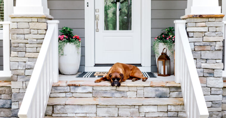lazy boxer napping on simple spring front porch